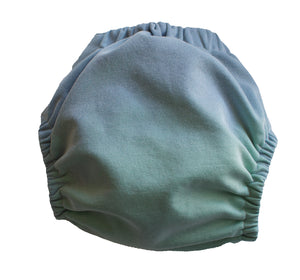 Ombre Diapers - Mood Diaper - Pocket - Blue/Green